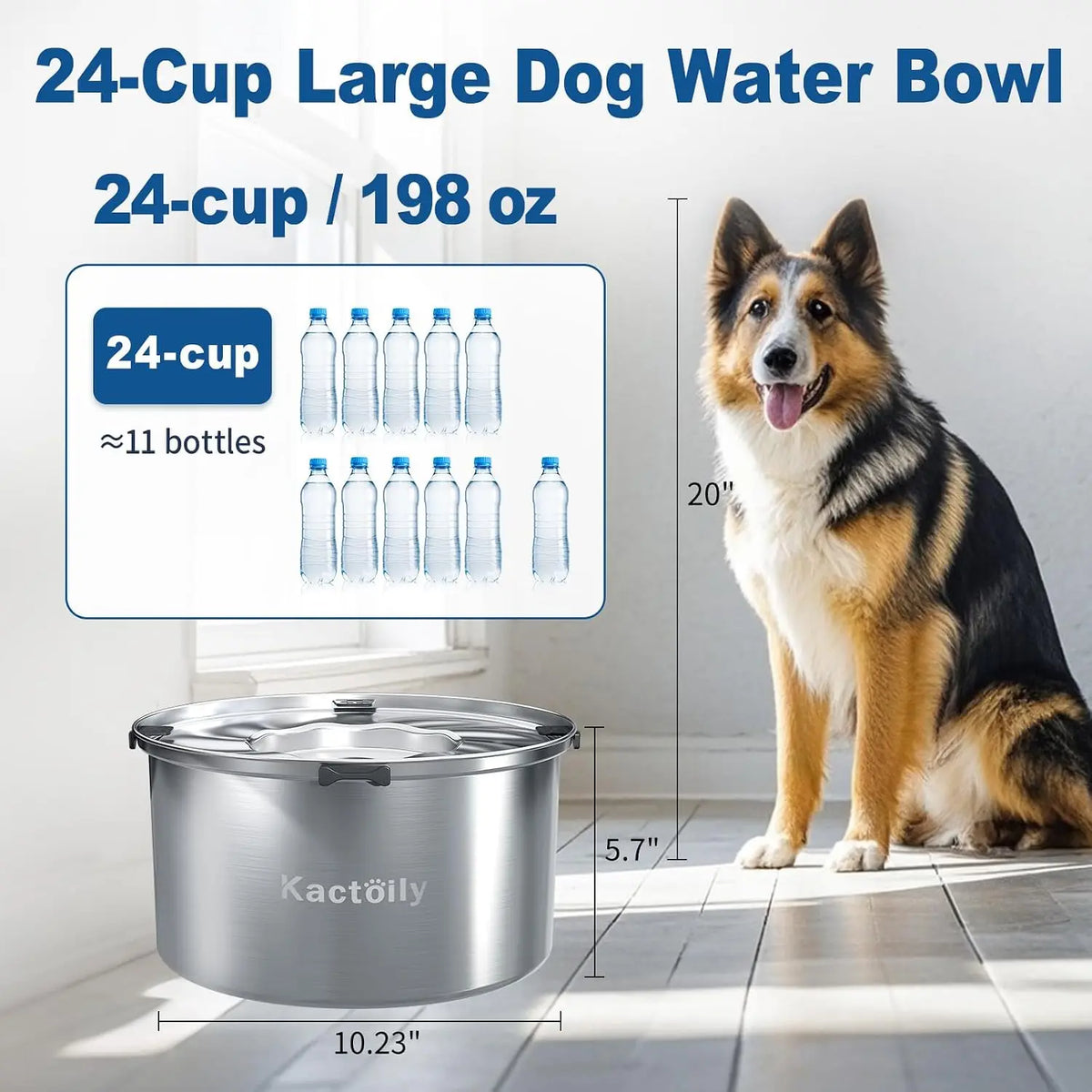 1.47 Gal Stainless Steel No Spill Water Bowl for Large Dogs