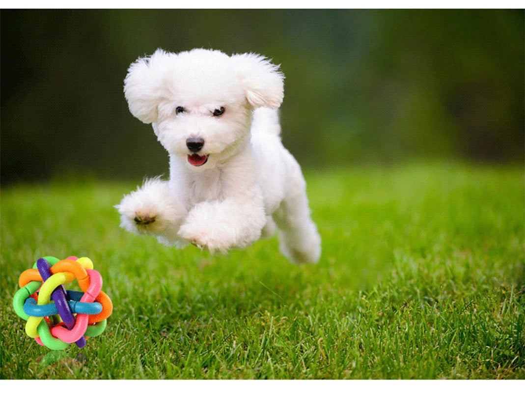 Colorful Dog Bite Resistant Rubber Chew Toy