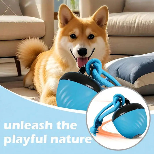 Interactive Dog Toy Ball With Rope