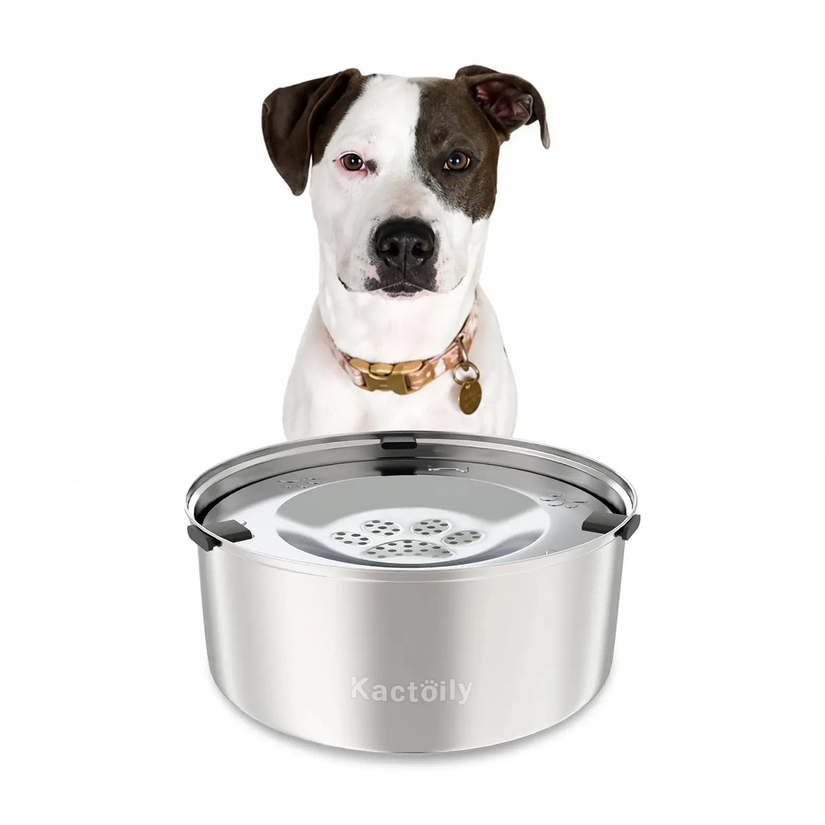 Dog Water Bowl, No-Spill & Splash-Proof  for Medium & Large Dogs
