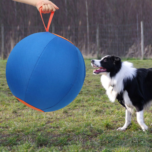 Interactive Herding Toy with Heavy-Duty Handle Cover & Pump