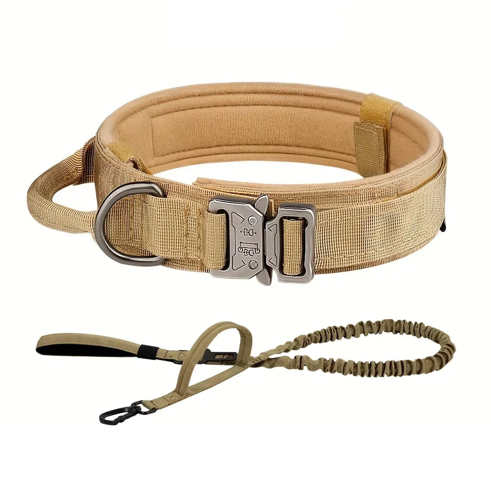 Dog Training Collar Adjustable  Leash Set For Small and Big Dogs
