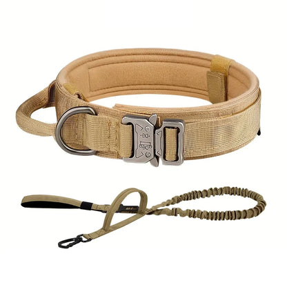 Dog Training Collar Adjustable  Leash Set For Small and Big Dogs