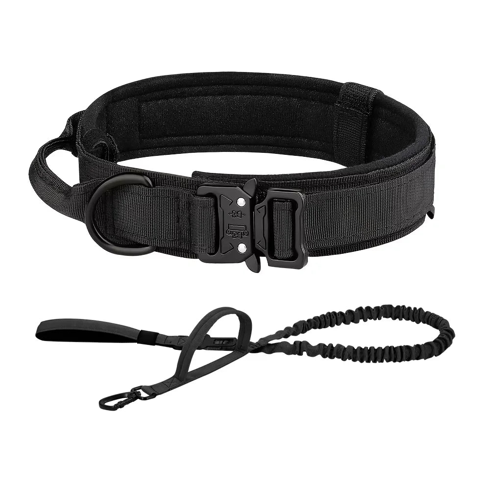 Dog Training Collar Adjustable  Leash Set For Small and Big Dogs