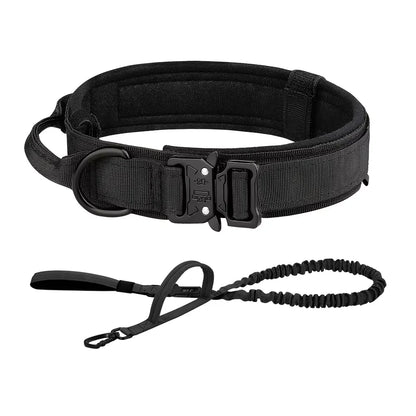 Dog Training Collar Adjustable  Leash Set For Small and Big Dogs