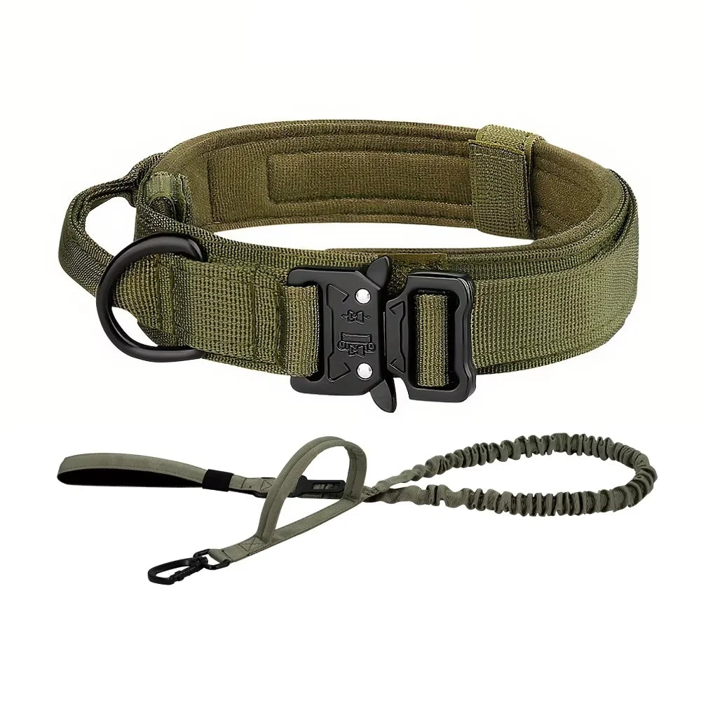 Dog Training Collar Adjustable  Leash Set For Small and Big Dogs