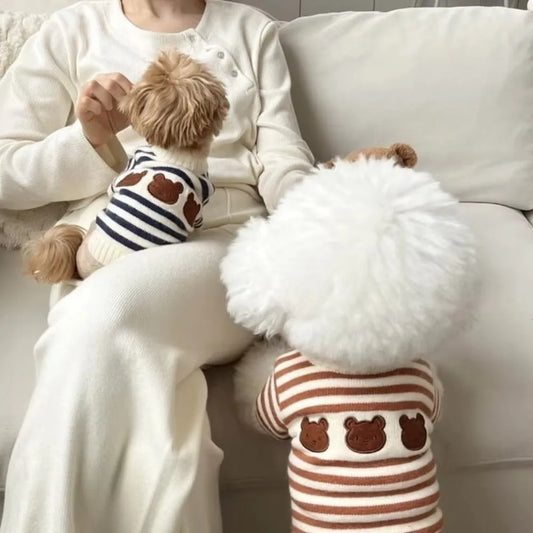 Fashion Striped Pullover Dog Sweater