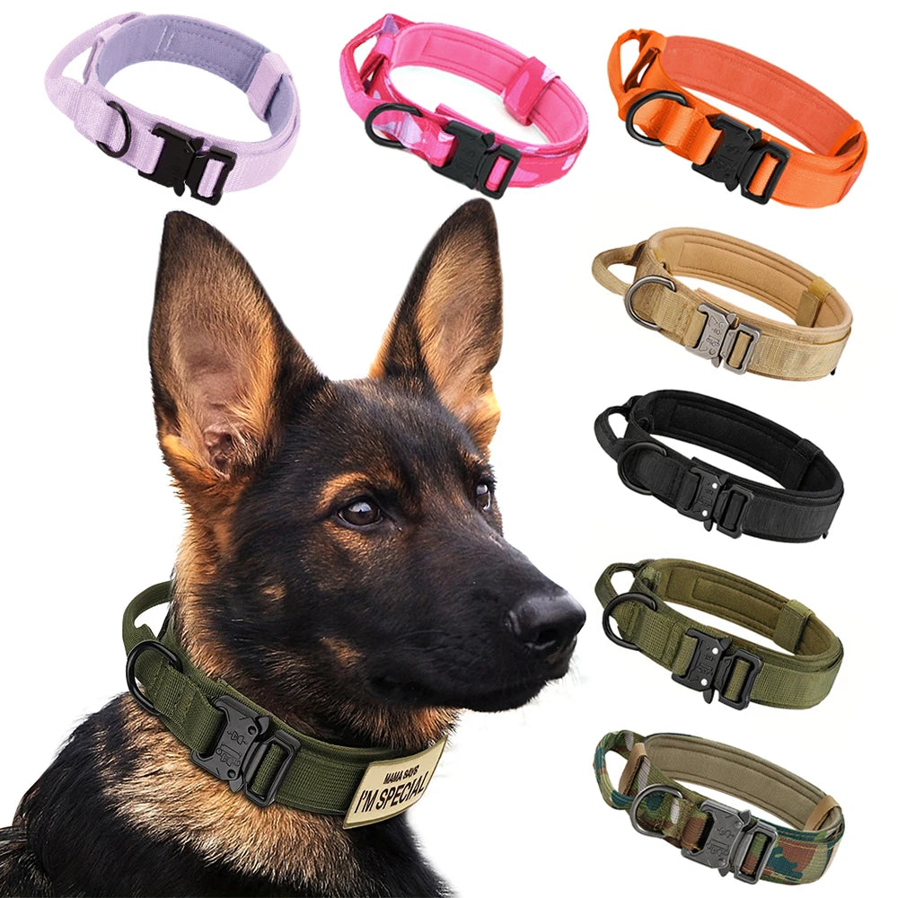 Dog Training Collar Adjustable  Leash Set For Small and Big Dogs