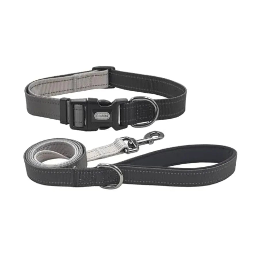 Dog Collar Leash Set, with Safety Reflective Strips, 5 Feet Matching Leash, Neoprene Padded Handle, Adjustable