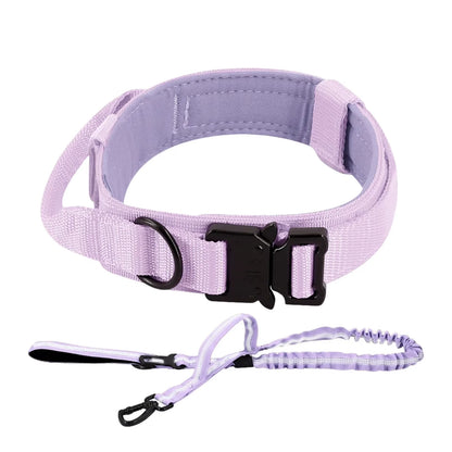Dog Training Collar Adjustable  Leash Set For Small and Big Dogs