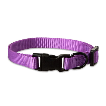 Polyester Adjustable Dog Collar, Purple,