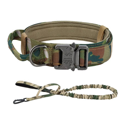 Dog Training Collar Adjustable  Leash Set For Small and Big Dogs