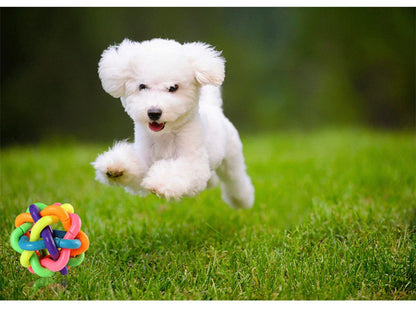 Colorful Dog Bite Resistant Rubber Chew Toy