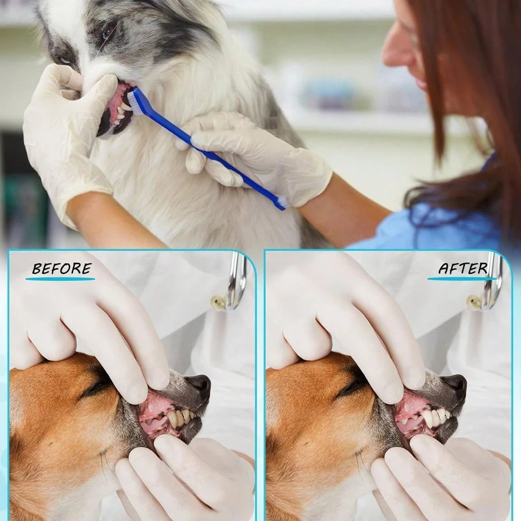 5pcs Anti-Choking Slow Feeder Dog Bowl Non-Slip 3/4 Cup -4pcs Double-Sided Toothbrushes  Liquid Treats Bone Broth Ice Cream Yogurt