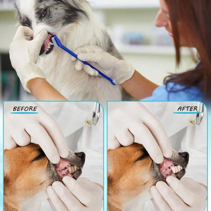 5pcs Anti-Choking Slow Feeder Dog Bowl Non-Slip 3/4 Cup -4pcs Double-Sided Toothbrushes  Liquid Treats Bone Broth Ice Cream Yogurt