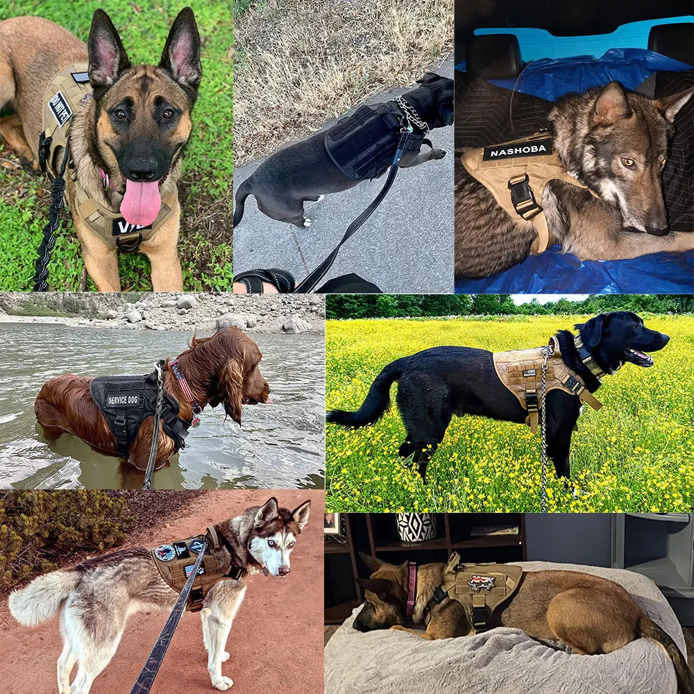 Large and medium Dog Harness And Leash Set Pet German Shepherd Malinois Training Walking Vest