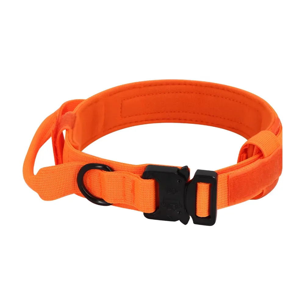 Dog Training Collar Adjustable  Leash Set For Small and Big Dogs