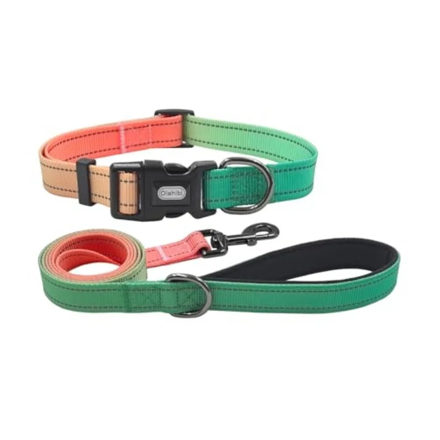 Dog Collar Leash Set, with Safety Reflective Strips, 5 Feet Matching Leash, Neoprene Padded Handle, Adjustable