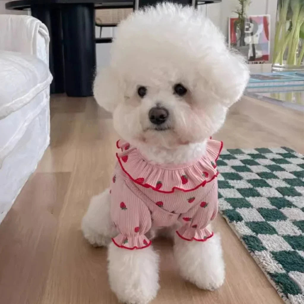 Strawberry Small Pet Clothes