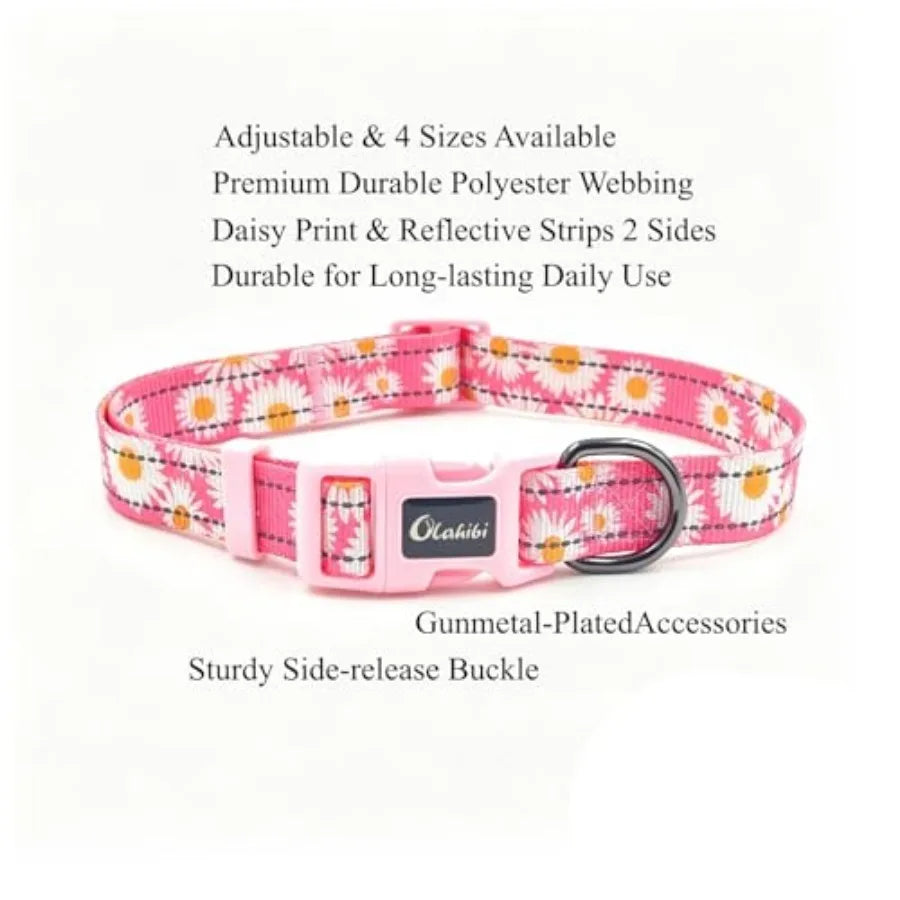 Dog Collar Leash Set, with Safety Reflective Strips, 5 Feet Matching Leash, Neoprene Padded Handle, Adjustable