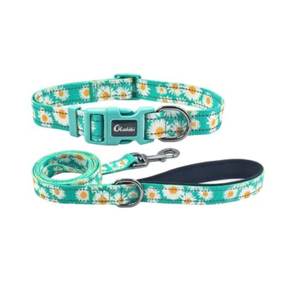 Dog Collar Leash Set, with Safety Reflective Strips, 5 Feet Matching Leash, Neoprene Padded Handle, Adjustable