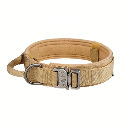 Dog Training Collar Adjustable  Leash Set For Small and Big Dogs