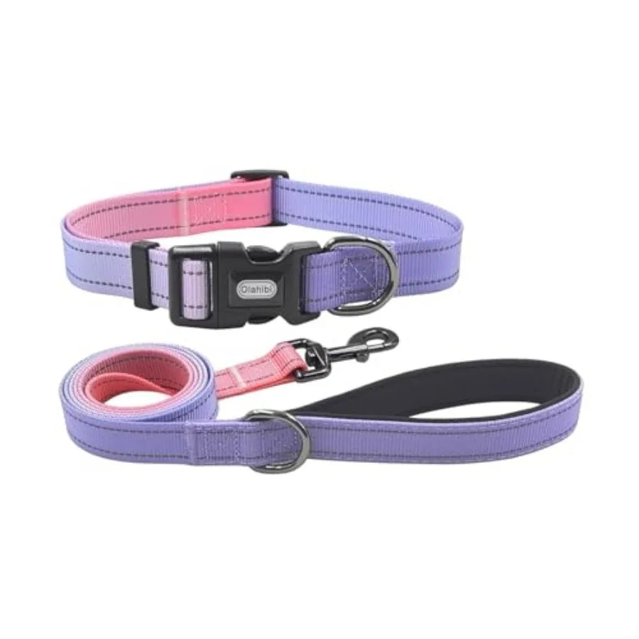 Dog Collar Leash Set, with Safety Reflective Strips, 5 Feet Matching Leash, Neoprene Padded Handle, Adjustable