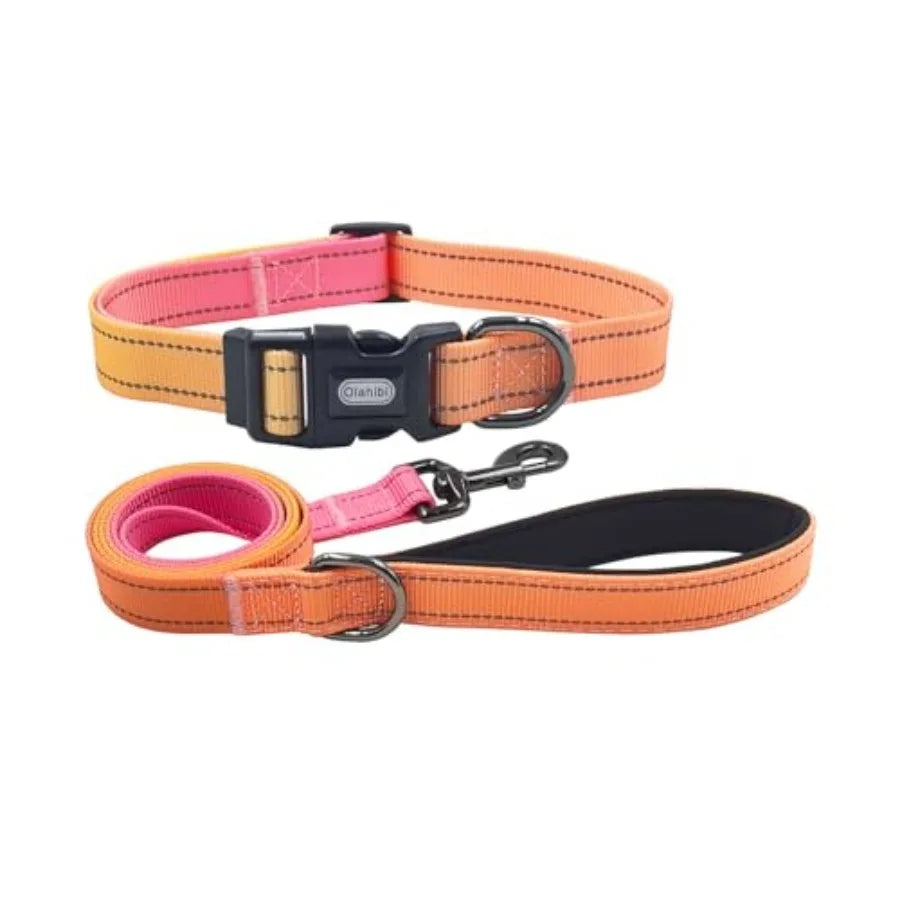 Dog Collar Leash Set, with Safety Reflective Strips, 5 Feet Matching Leash, Neoprene Padded Handle, Adjustable