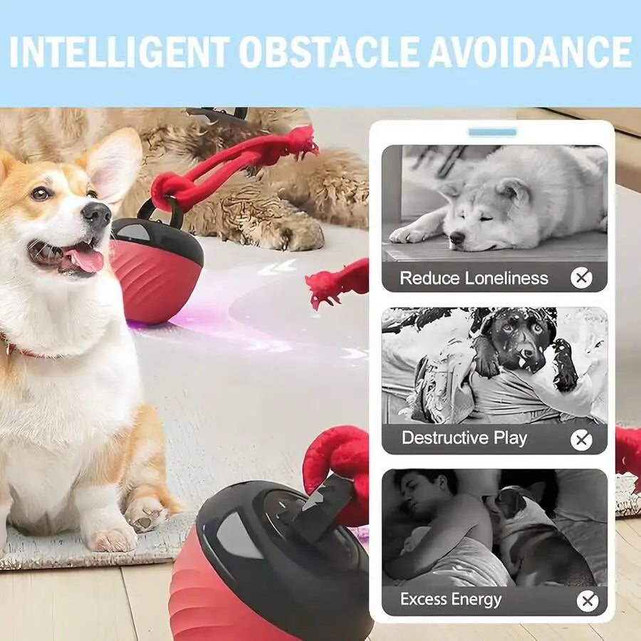 Interactive Dog Toy Ball With Rope