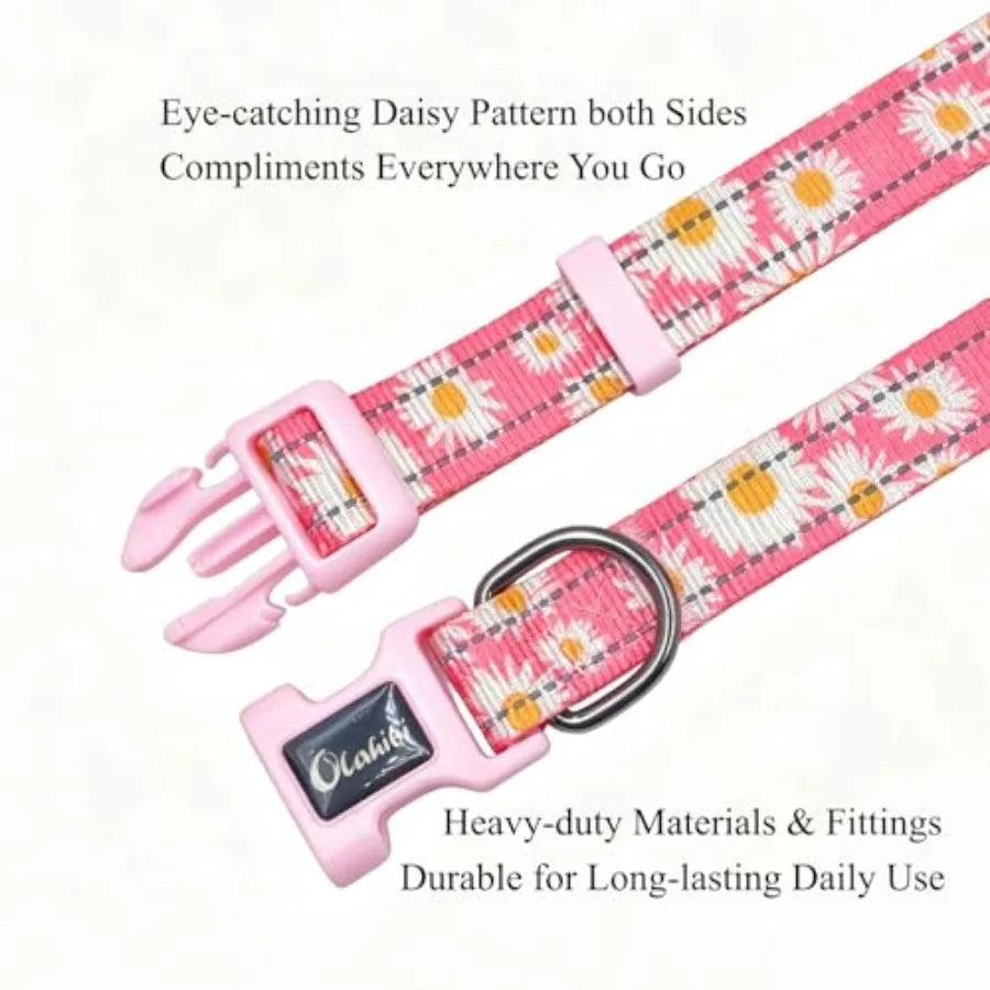 Dog Collar Leash Set, with Safety Reflective Strips, 5 Feet Matching Leash, Neoprene Padded Handle, Adjustable