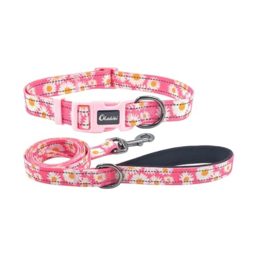 Dog Collar Leash Set, with Safety Reflective Strips, 5 Feet Matching Leash, Neoprene Padded Handle, Adjustable