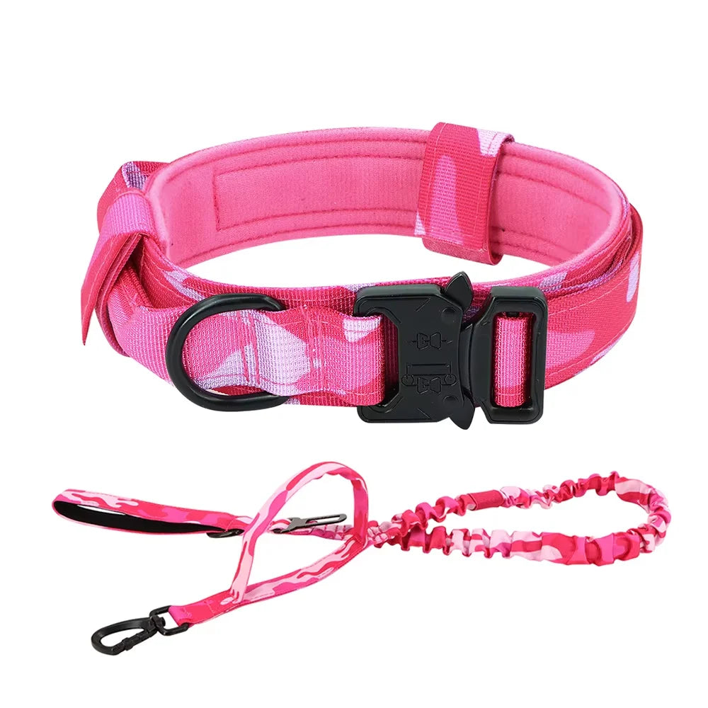 Dog Training Collar Adjustable  Leash Set For Small and Big Dogs