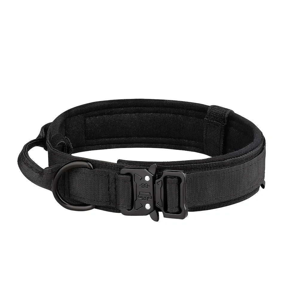 Dog Training Collar Adjustable  Leash Set For Small and Big Dogs