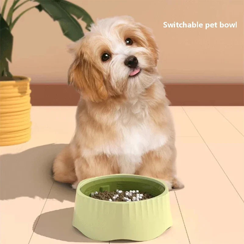 2 in 1 Rotatable Slow Feeder Dog Bowl 60° Anti-Choke Anti-Vomit for Cats and Dogs