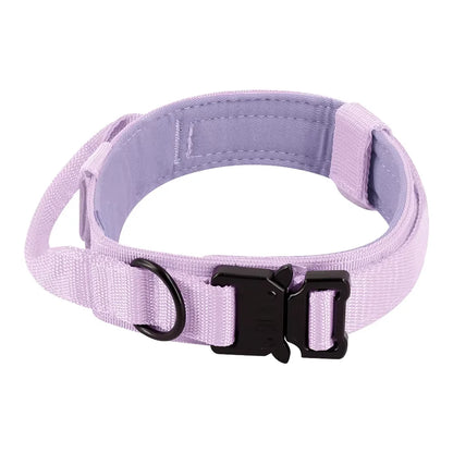 Dog Training Collar Adjustable  Leash Set For Small and Big Dogs