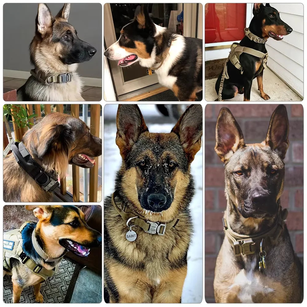 Dog Training Collar Adjustable  Leash Set For Small and Big Dogs