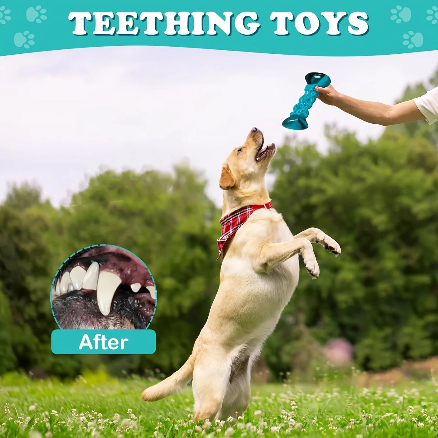 Chew Toys For Large Dogs , Anxiety Relief & Boredom