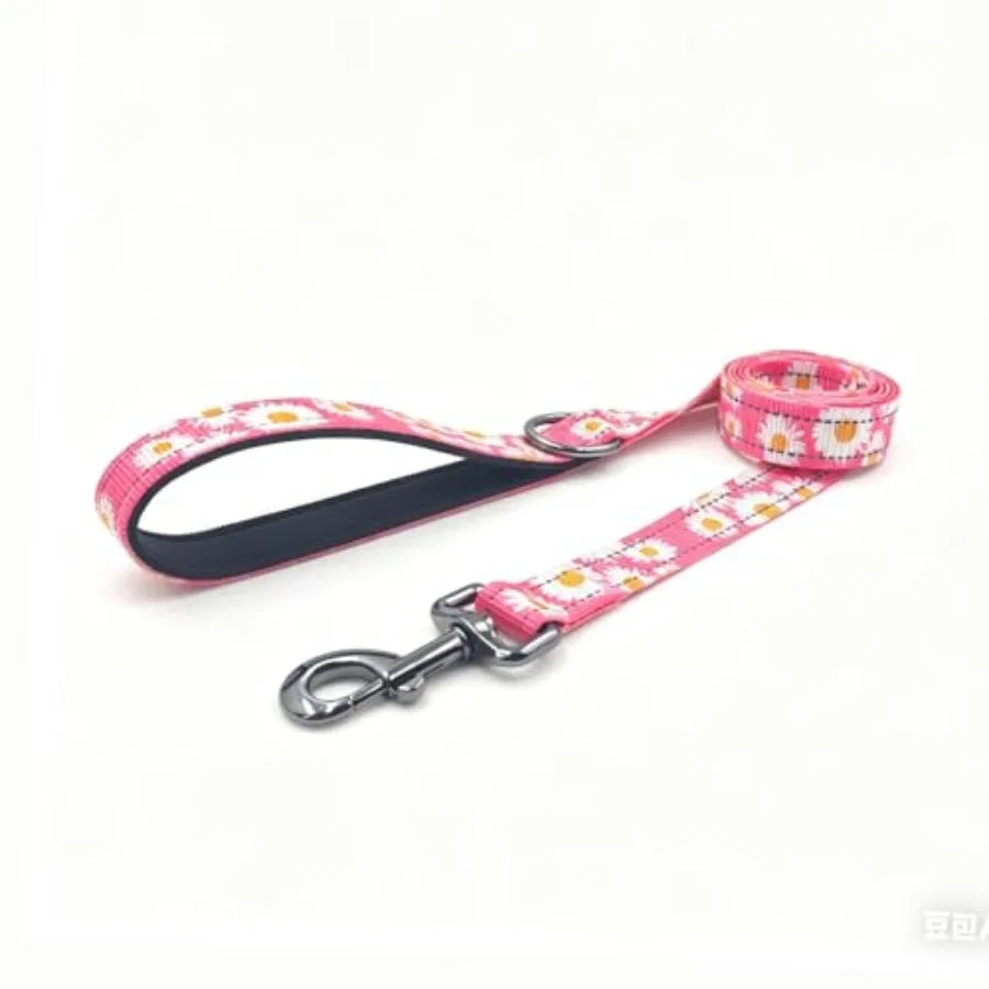 Dog Collar Leash Set, with Safety Reflective Strips, 5 Feet Matching Leash, Neoprene Padded Handle, Adjustable