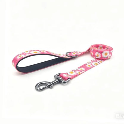 Dog Collar Leash Set, with Safety Reflective Strips, 5 Feet Matching Leash, Neoprene Padded Handle, Adjustable