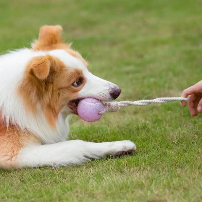 Pet Dog Tennis Ball Chew Toy With Rope