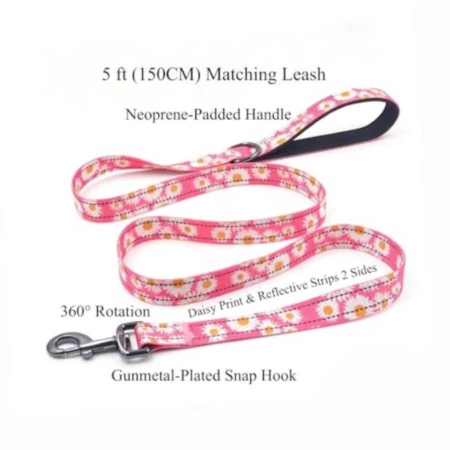 Dog Collar Leash Set, with Safety Reflective Strips, 5 Feet Matching Leash, Neoprene Padded Handle, Adjustable