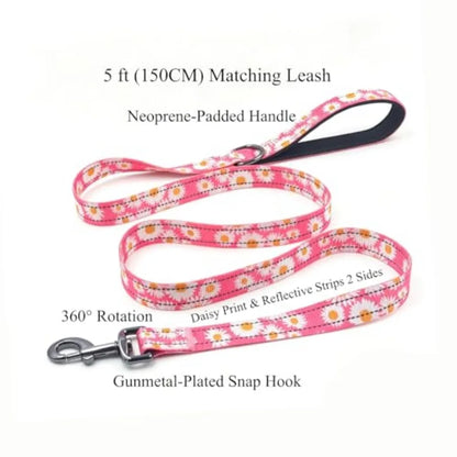 Dog Collar Leash Set, with Safety Reflective Strips, 5 Feet Matching Leash, Neoprene Padded Handle, Adjustable