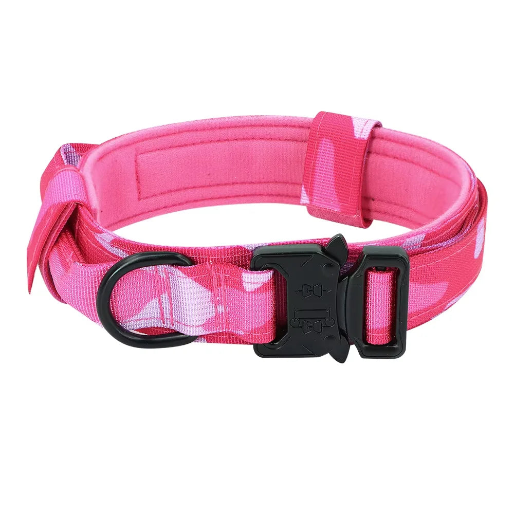 Dog Training Collar Adjustable  Leash Set For Small and Big Dogs