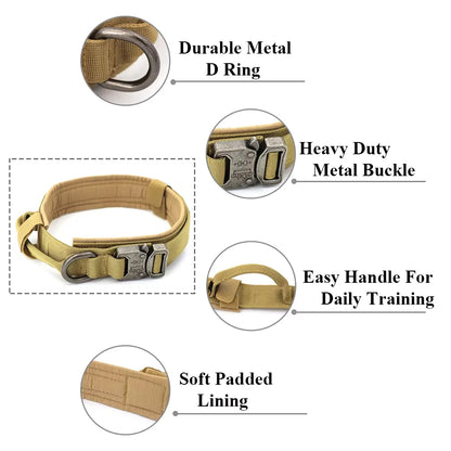 Dog Training Collar Adjustable  Leash Set For Small and Big Dogs