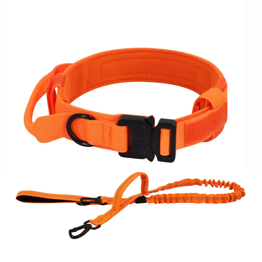 Dog Training Collar Adjustable  Leash Set For Small and Big Dogs