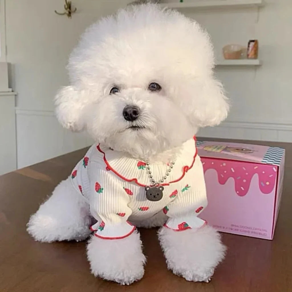 Strawberry Small Pet Clothes