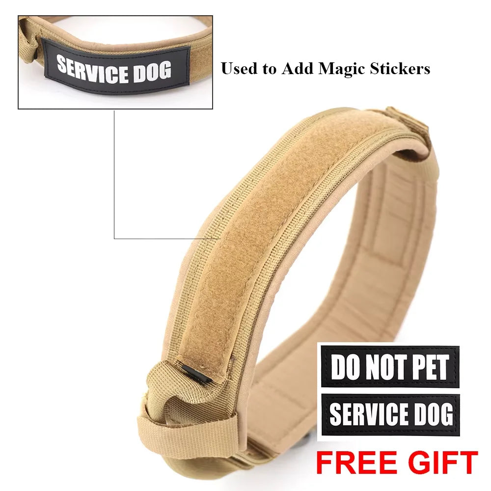 Dog Training Collar Adjustable  Leash Set For Small and Big Dogs