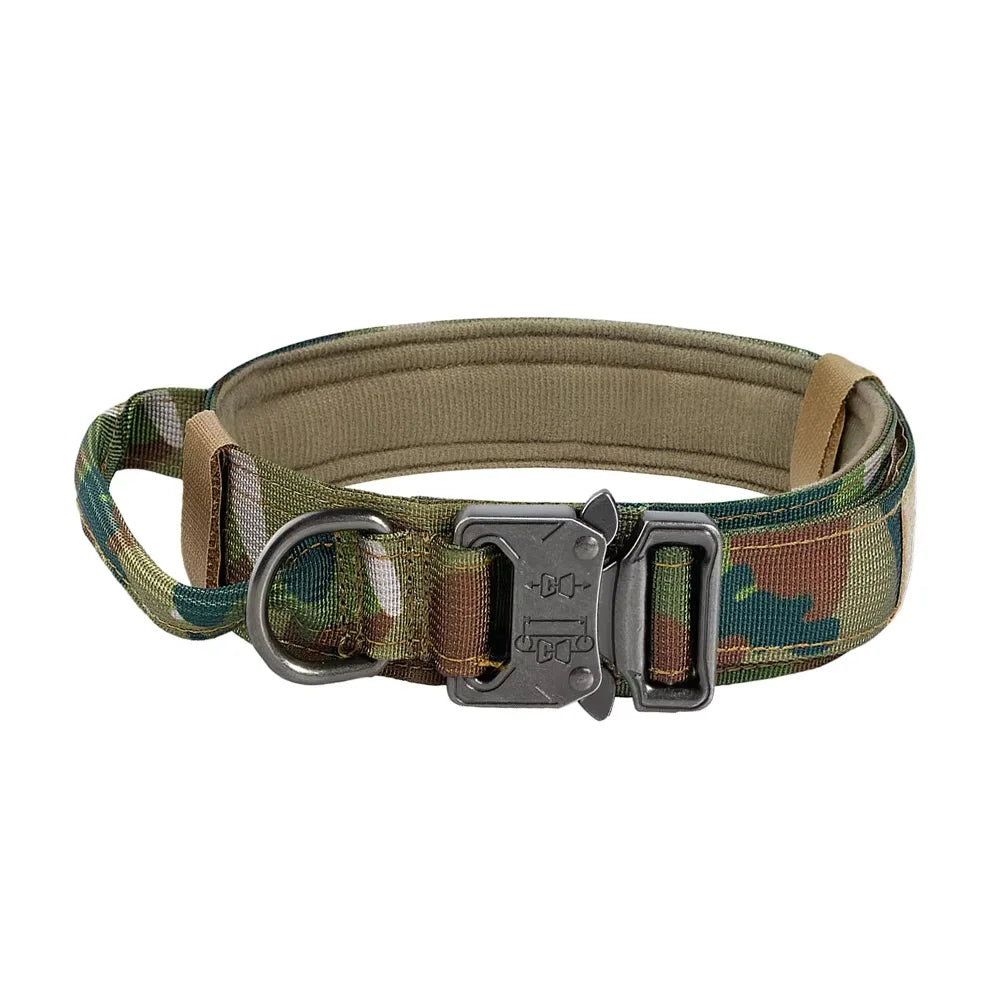 Dog Training Collar Adjustable  Leash Set For Small and Big Dogs