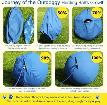 Dual-Layer Heavy Duty Ball for  Shepherds