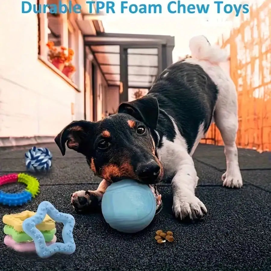 4/8pcs Pet Toy Set,